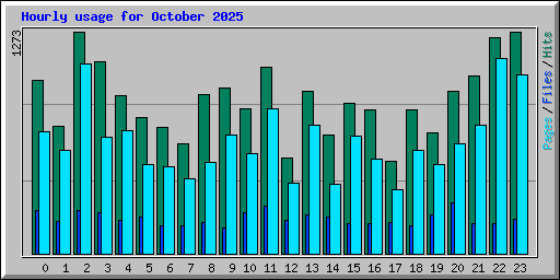 Hourly usage for October 2025