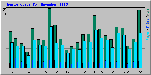 Hourly usage for November 2025