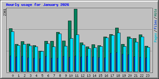 Hourly usage for January 2026